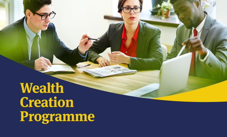 Wealth-Creation-Programme-TiC